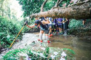 BIB: 
                            <button type="button" onclick="openModal(25468034)" class="btn btn-primary btn-sm float-right btn-popup" data-toggle="modal" data-target=".modal-high-quality">
                        <i class="fas fa-shopping-cart"></i> Add to Cart
                    </button>
                                            <button type="button" onclick="isThisMe(25468034, true)" class="btn btn-success btn-sm float-right btn-popup btn-isme hidden" data-toggle="tooltip" data-placement="bottom" title="นี่คือรูปของคุณใช่ไหม คลิกที่นี่เพื่อเอาเข้าอัลบั้ม">
                        <i class="fas fa-plus"></i> Add to album
                    </button>
                    <button type="button" onclick="isThisMe(25468034, false)" class="btn btn-warning btn-sm float-right btn-popup btn-isnotme hidden">
                        <i class="fas fa-ban"></i> Remove from album
                    </button>